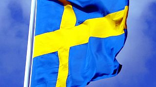 السويد تعاني من ندرة العمال الحرفيين