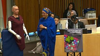 Nigerian Amina Mohammed interacts with Sophia the robot at the UN [Video]