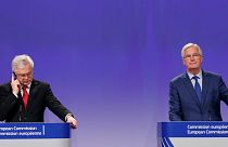 'No great step forward' in Brexit talks, says Barnier