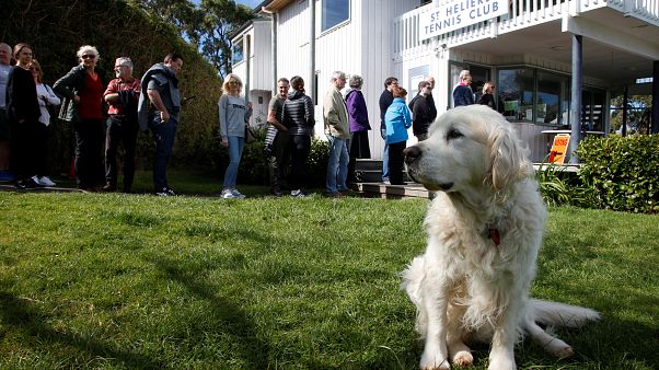Permesso pagato per assistere il cane Permesso pagato per assistere il cane