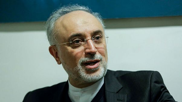 صالحی: تروریستی خواندن سپاه را اعلام جنگ تلقی میکنیم صالحی: تروریستی خواندن سپاه را اعلام جنگ تلقی میکنیم