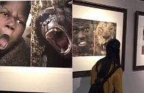 Outrage as Chinese museum's 'racist' exhibits compare Africans to animals