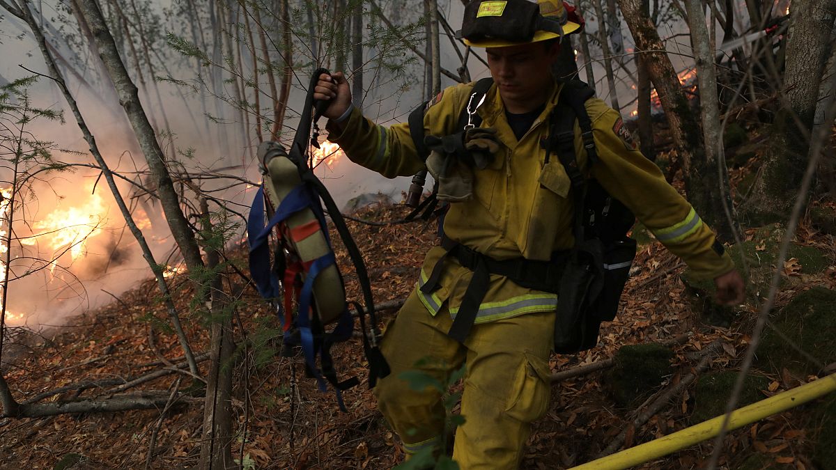 Kalifornien: Schon über dreißig Tote bei Waldbränden