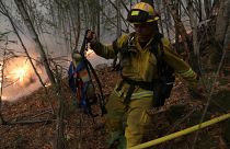 Pelo menos 30 mortos em incêndios no norte da Califórnia