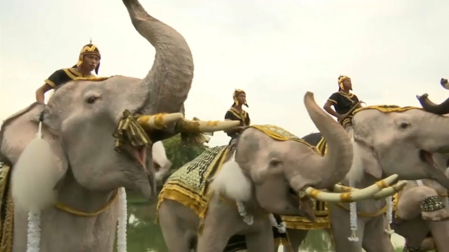Elephants help mark year since Thai kings' death