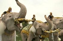 Elephants help mark year since Thai kings' death