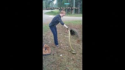 Florida police detective tackles errant Anaconda