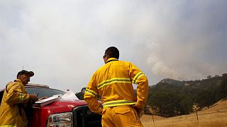 Sobe para 35 número de mortos nos incêndios da Califórnia