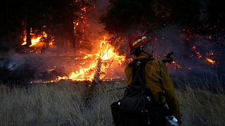 Kaliforniya tarihinin en büyük orman yangınıyla karşı karşıya