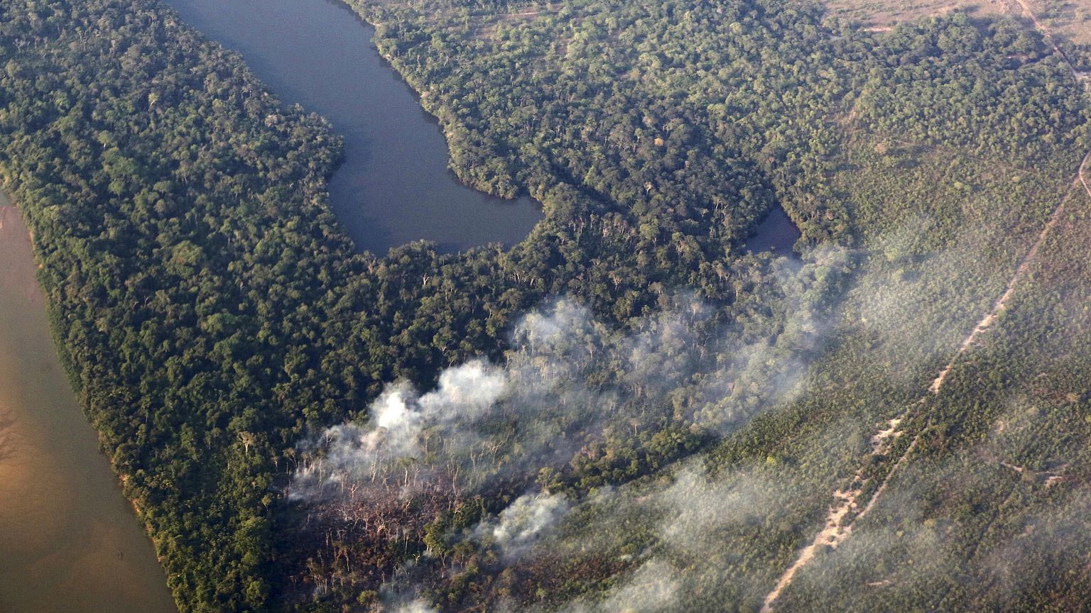 Tropical forests are oozing with carbon dioxide
