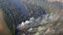 Tropical forests are oozing with carbon dioxide