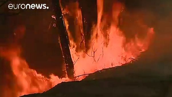 Incêndios de grandes dimensões descontrolados em Portugal Incêndios de grandes dimensões descontrolados em Portugal