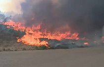 "Der schlimmste Tag des Jahres": Waldbrände in Portugal