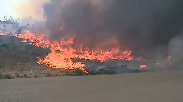 "Der schlimmste Tag des Jahres": Waldbrände in Portugal "Der schlimmste Tag des Jahres": Waldbrände in Portugal