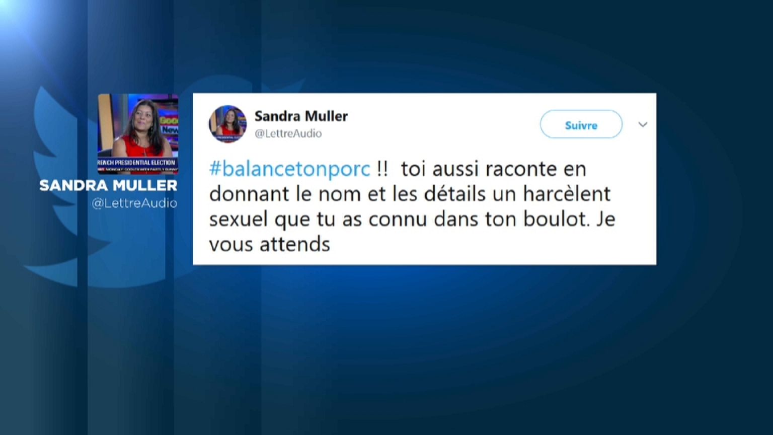 Harcèlement sexuel : #balancetonporc