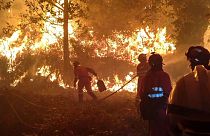 Live updates: Wildfires sweep Portugal and Spain