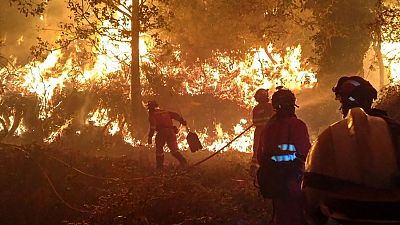 Fékezhetetlen a tűzvész Portugáliában és Spanyolországban