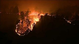 Au moins 27 morts dans les incendies au Portugal