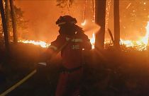 Miles de personas luchan contra las llamas en Galicia
