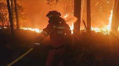 Miles de personas luchan contra las llamas en Galicia