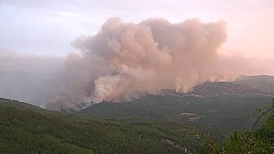 Mehr als 35 Tote bei Waldbränden in Spanien und Portugal