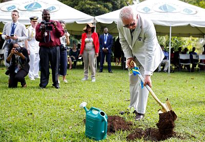 Prince Charles, Prince of Wales plants a tree during his visit to the Botanical Gardens during a visit to St. Vincent and the Grenadines on March 20, 2019 in Kingstown.