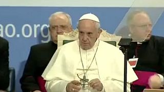 A Föld védelmét sürgeti Ferenc pápa