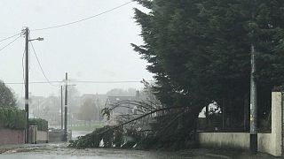 At least three dead as Storm Ophelia batters Ireland