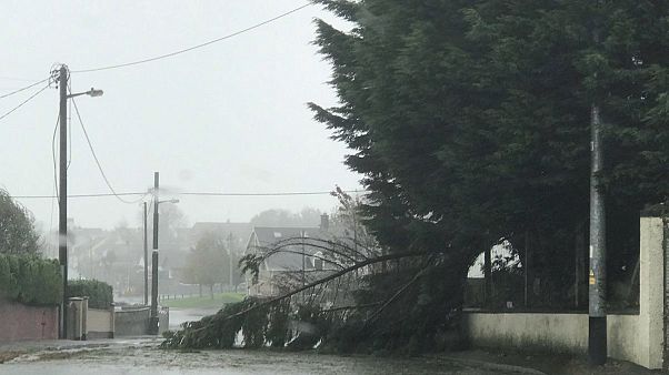 "Alarmstufe Rot": Tödlicher Sturm über Irland "Alarmstufe Rot": Tödlicher Sturm über Irland