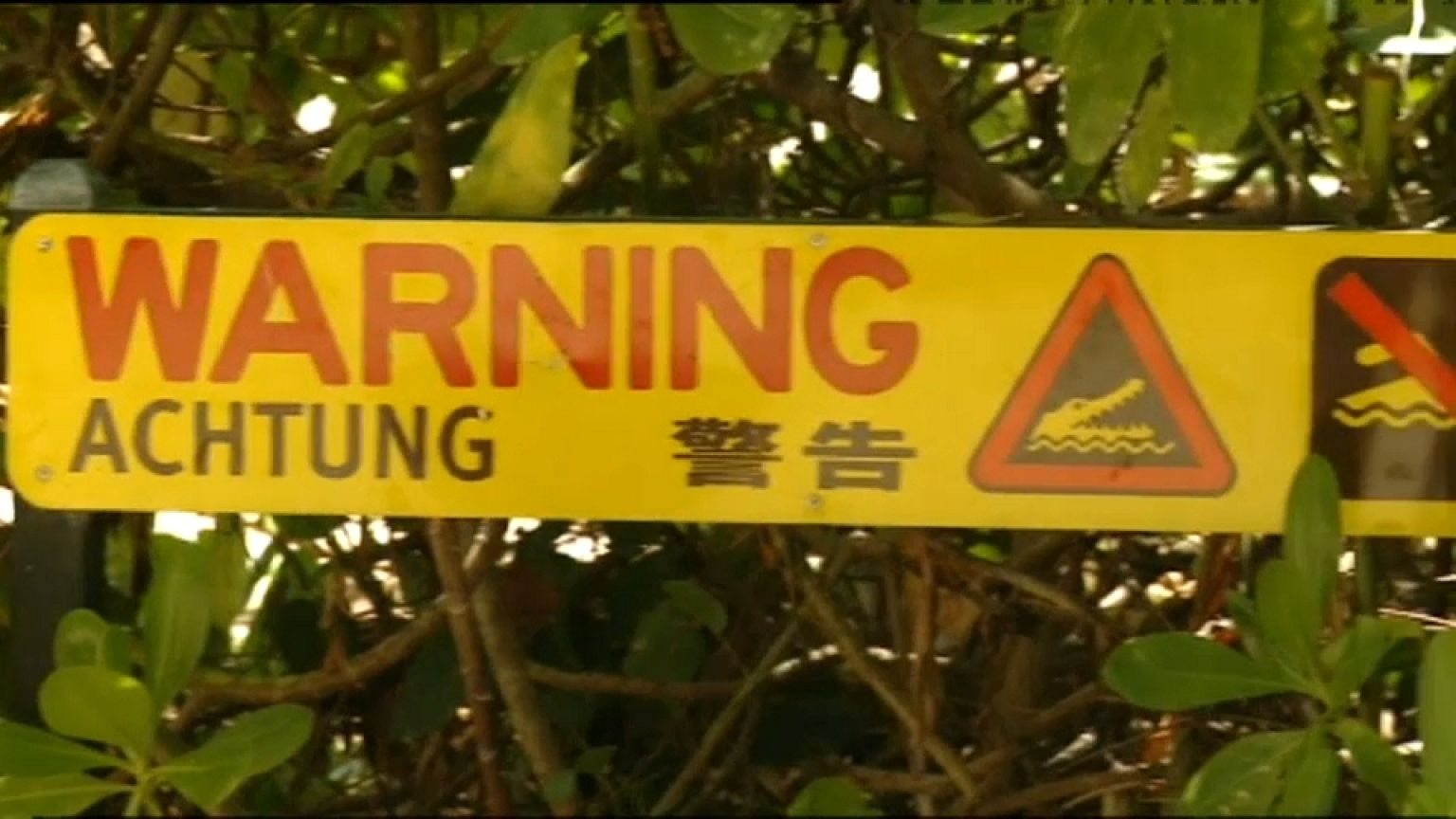 Fiel 79-jährige Australierin einem Krokodil zum Opfer?