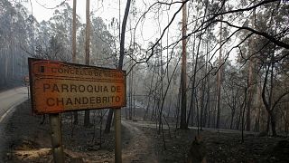Al menos 35 muertos en Portugal y 4 en Galicia a causa de los incendios