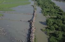 شاهد: أمواج بشرية من الروهينغا تواصل النزوح من بورما وسط عجز دولي