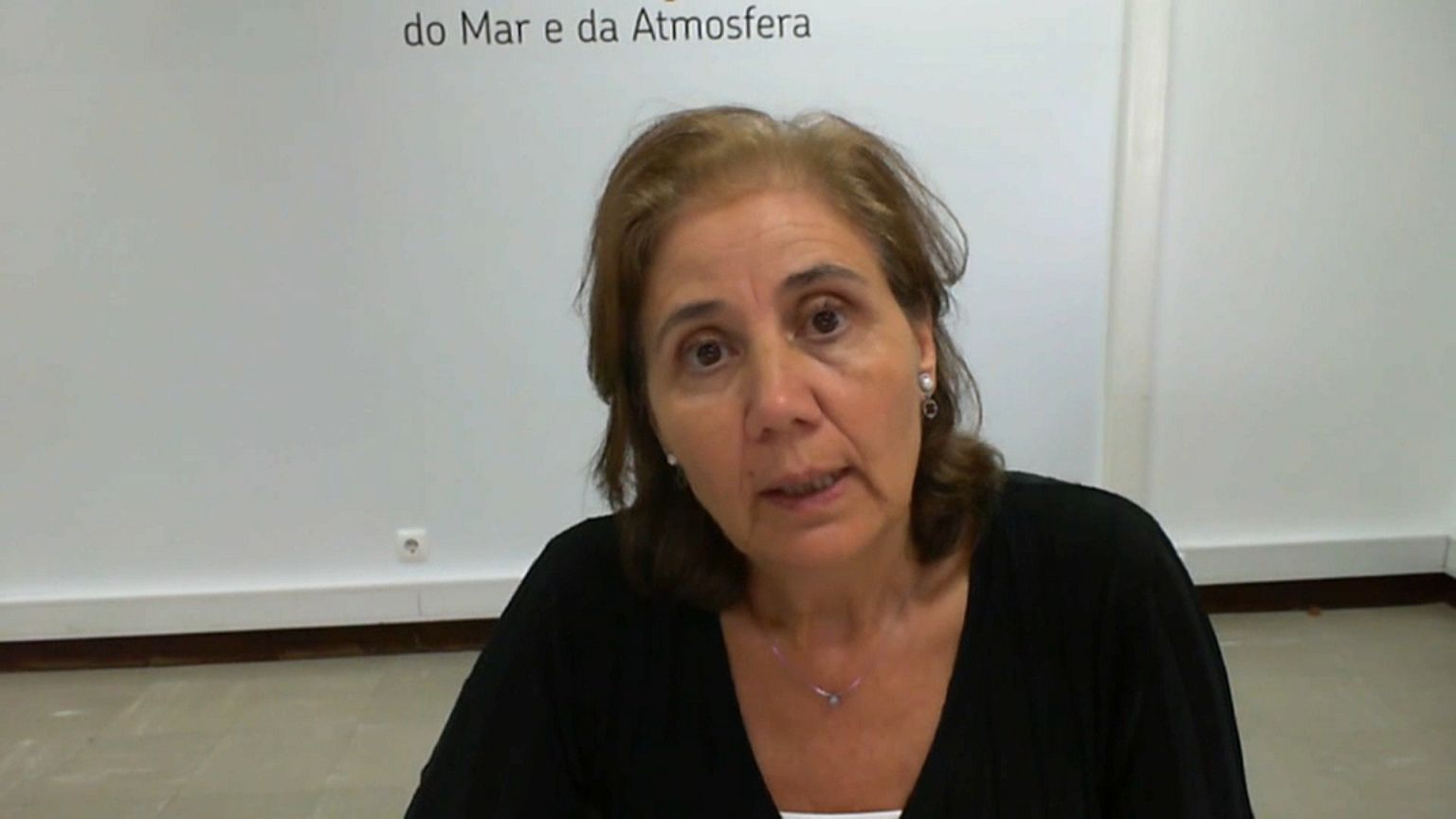 Temperatura alta, secura e vento elevado, fatores que favorecem os incêndios