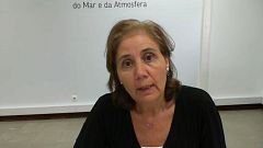 Temperatura alta, secura e vento elevado, fatores que favorecem os incêndios