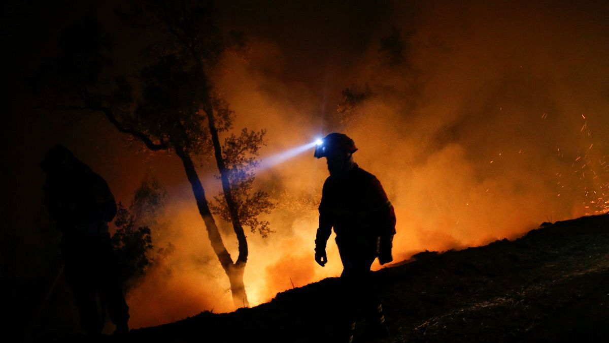 Portekiz'de orman yangınları: Ölü sayısı artıyor