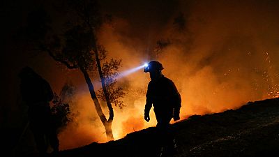 Portugália: egyre több halott a tűzvészben