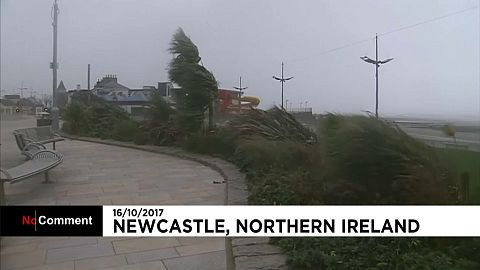 Schools shutdown continues as Ophelia hits Northern Ireland