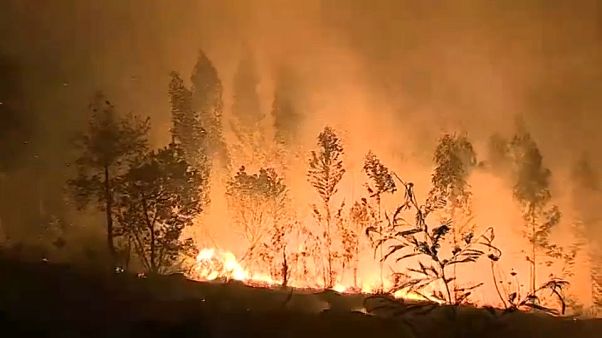 Portugal devastado por los incendios forestales Portugal devastado por los incendios forestales