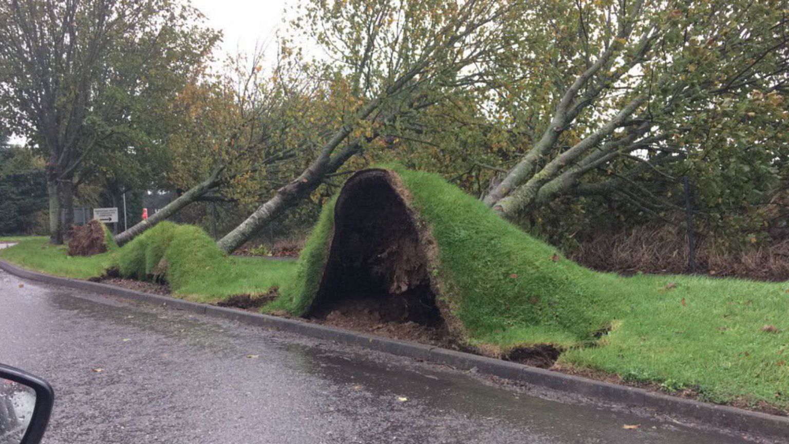 Social media videos capture extent of Ophelia's damage