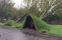 Social media videos capture extent of Ophelia's damage