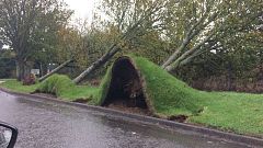 Social media videos capture extent of Ophelia's damage