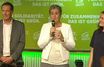Österreich: Grüne vor dem Parlaments-Aus