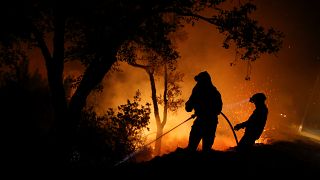 45 قتيلا على الأقل في حرائق الغابات بالبرتغال واسبانيا
