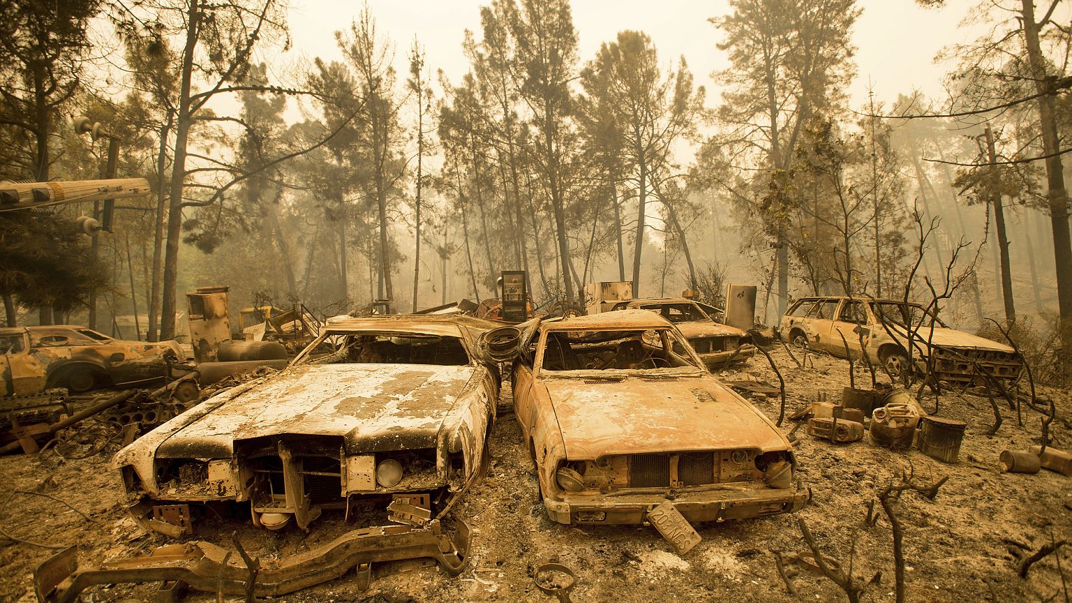 Image: wildfire