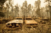Image: wildfire