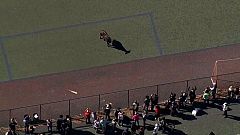 Aus Schlachthaus augebrochen? Stier spaziert durch Brooklyn