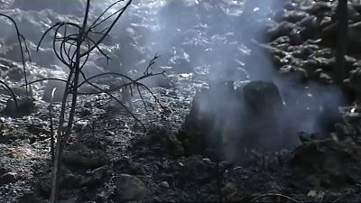 Incêndios reduzem a cinzas norte de Portugal e Galiza