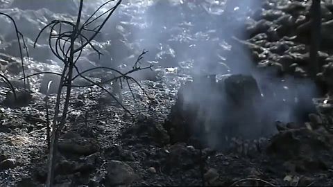 Deadly wildfires ravage Portugal and Spain