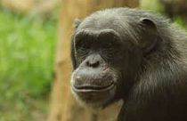 آخرین لبخند برای یک دوست