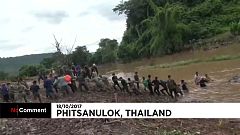 Spektakuläre Elefanten-Rettung in Malaysia